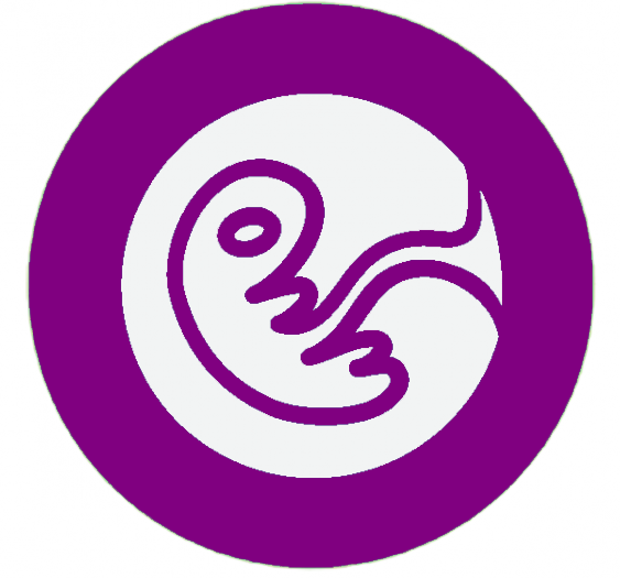 第 1-3 周