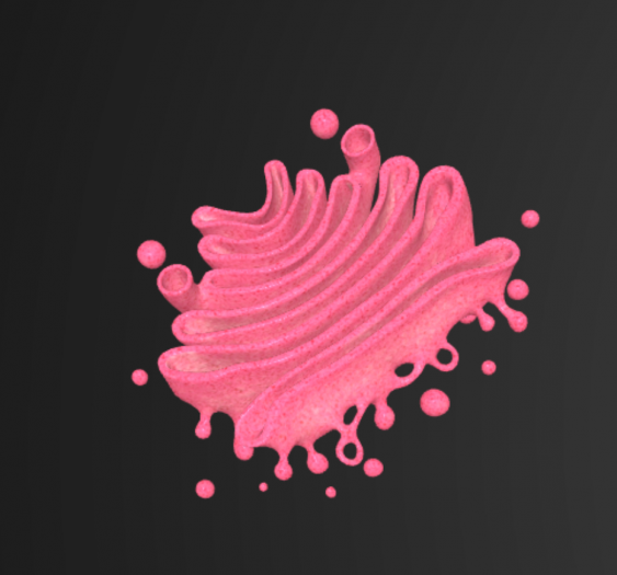 高尔基体Golgi Apparatus