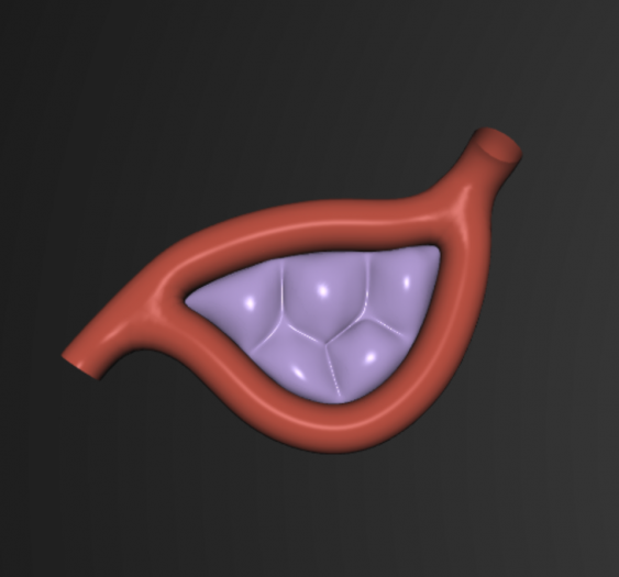 内分泌腺EndocrineGlands